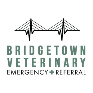 Bridgetown Veterinary Emergency + Referral